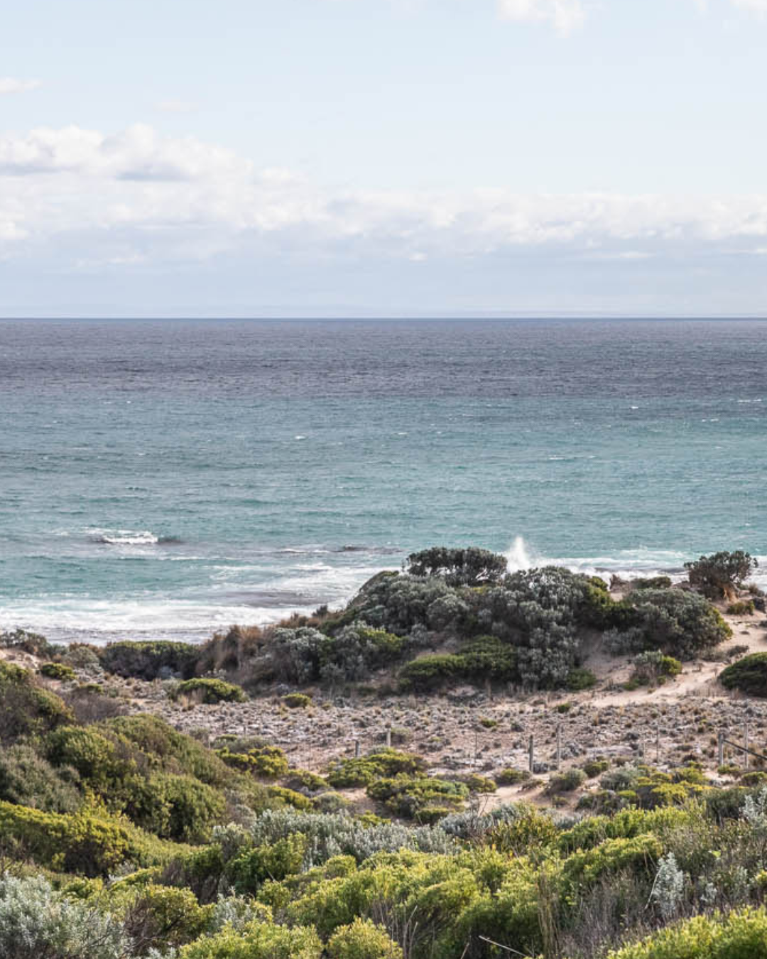 Black Finch are now 100% Carbon Neutral