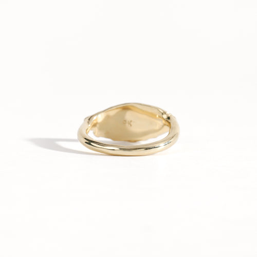 Gold ring featuring wing detailing and blue sapphire. Handmade and bespoke finish.