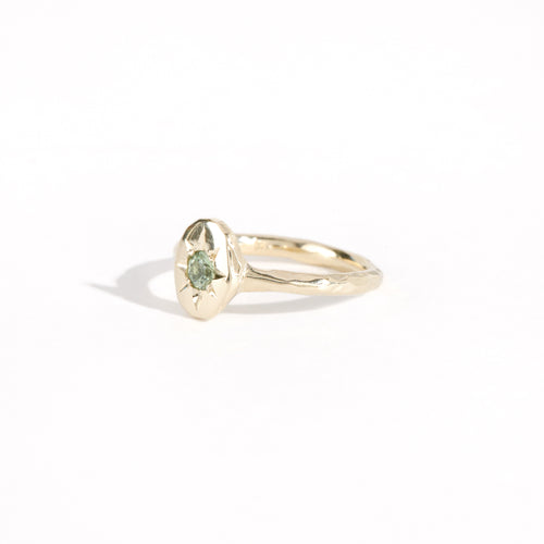 9ct yellow gold signet ring with star set sea-foam coloured sapphire in centre. Bespoke and handmade in Melbourne by Black Finch Jewellery