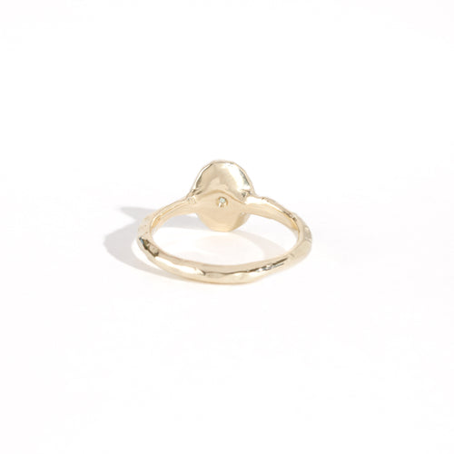 9ct yellow gold signet ring with star set sea-foam coloured sapphire in centre. Bespoke and handmade in Melbourne by Black Finch Jewellery