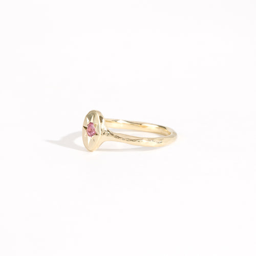 9ct yellow gold signet ring with star set pink sapphire in centre. Bespoke and handmade in Melbourne by Black Finch Jewellery