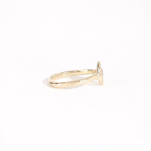 9ct yellow gold signet ring with star set pink sapphire in centre. Bespoke and handmade in Melbourne by Black Finch Jewellery