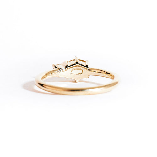 Two stone ring crafted in 9ct yellow gold with yellow sapphire and white diamond. By black finch