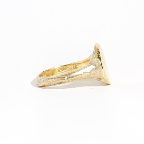 9 carat yellow gold round signet ring with a polished surface and soft matte band.